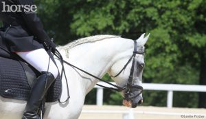 When Trainers Work Together