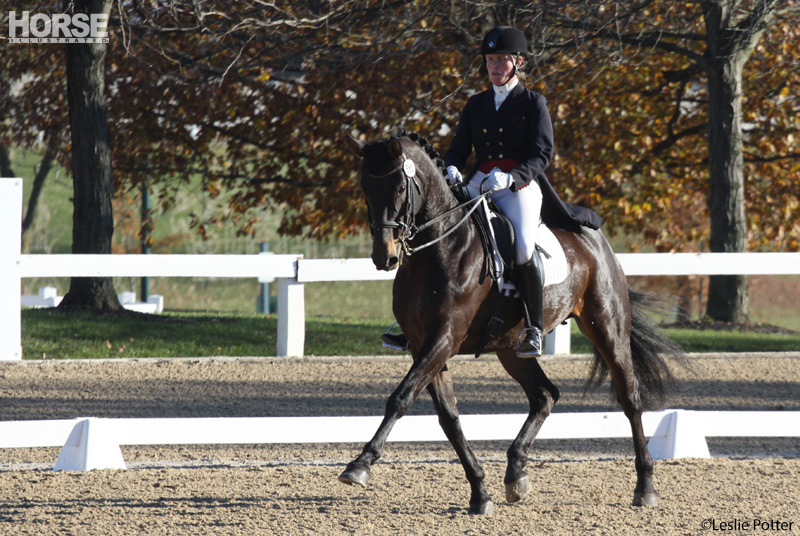 Dressage Test Secrets