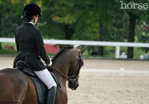 Score More in the Dressage Arena