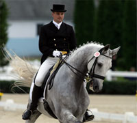 dressage event