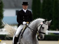 dressage event