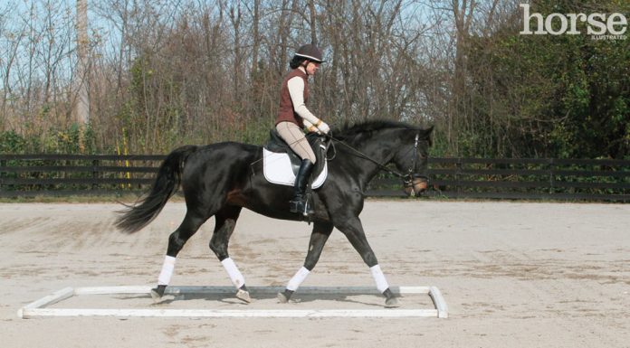 dressage exercise