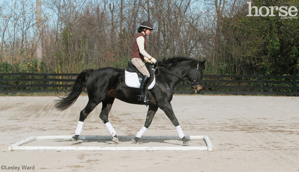 Dressage Arena Workout
