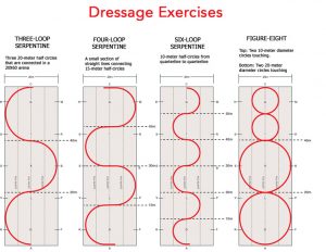 Dressage Arena Exercises