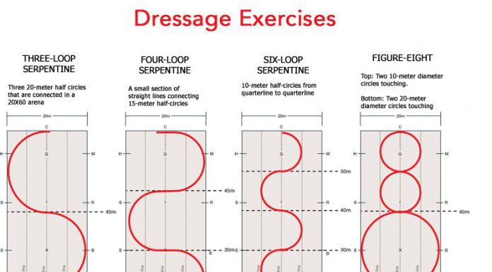 dressage exercises thumb