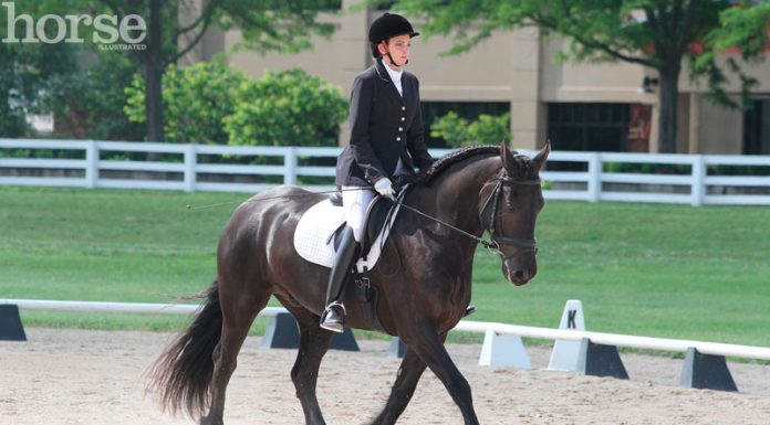 dressage friesian
