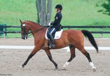 dressage in army uniform