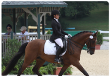 dressage khp