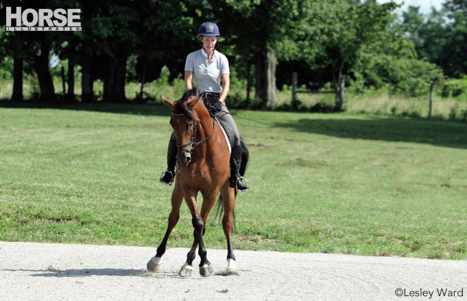 Leg Yield Troubleshooting