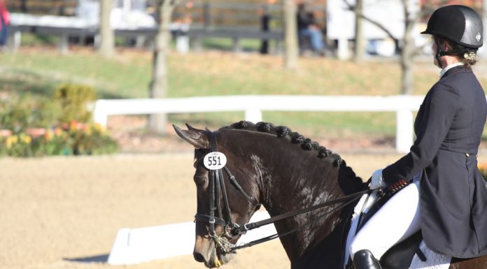 dressage nationals