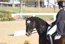 dressage nationals