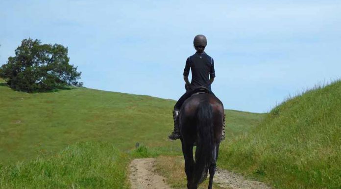 Dressage on the Trail