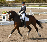 dressage rider