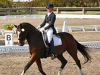 FEI’s New Handbook Benefits Dressage Riders, Too dressage rider