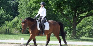 Dressage rider at a schooling show