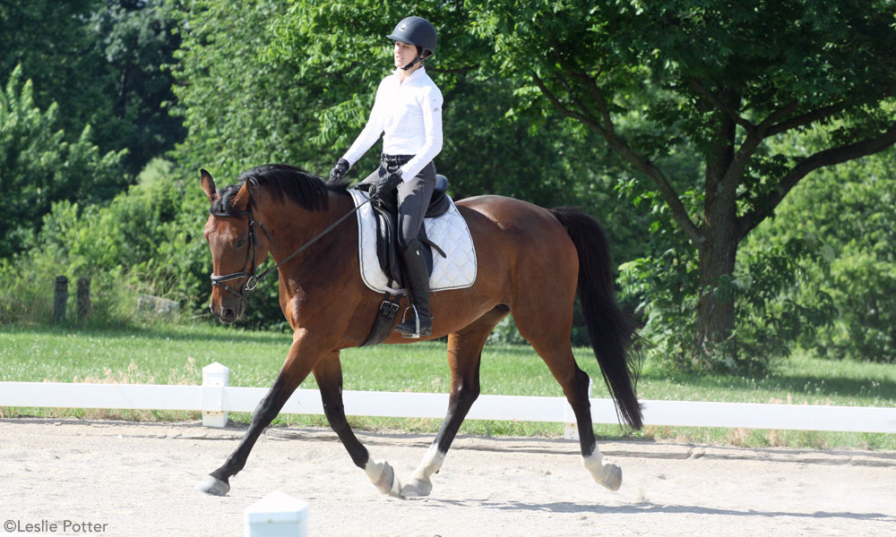 Dressage rider at a schooling show