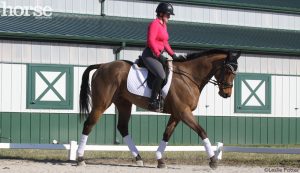 Achieving Symmetry with a One-Sided Horse
