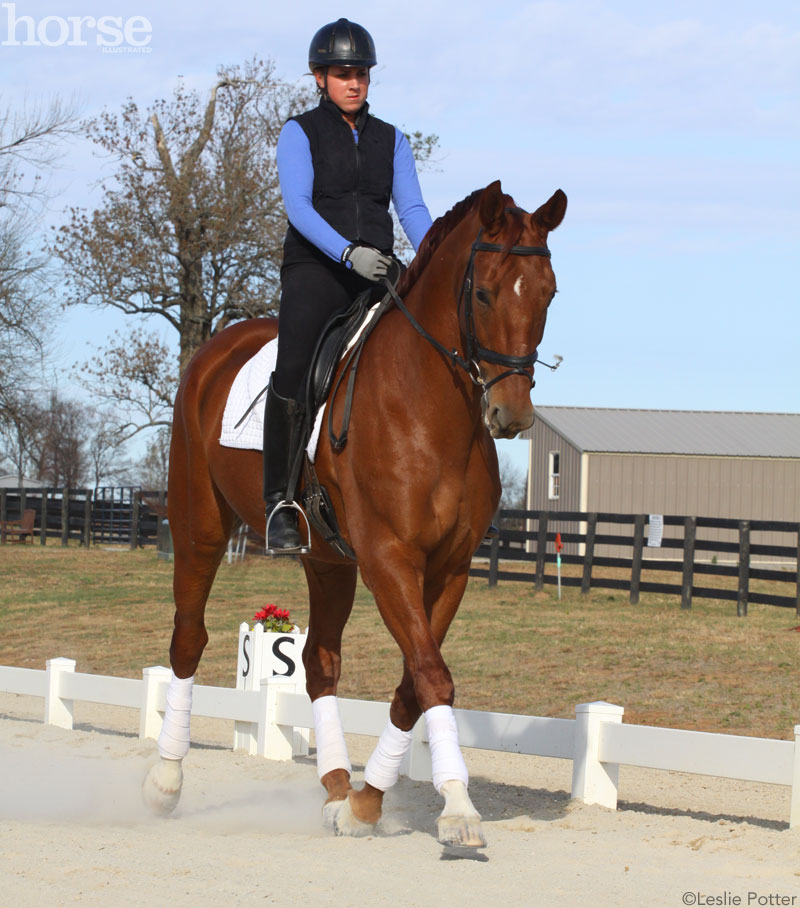 Video: Dressage exercises for a horse that overbends