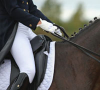 dressage seat
