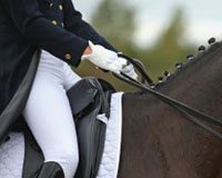 dressage seat