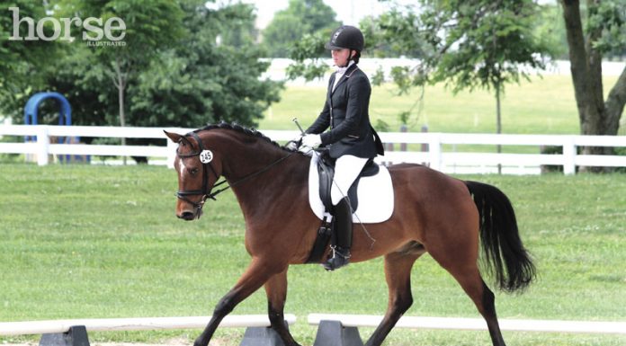 dressage test tempo