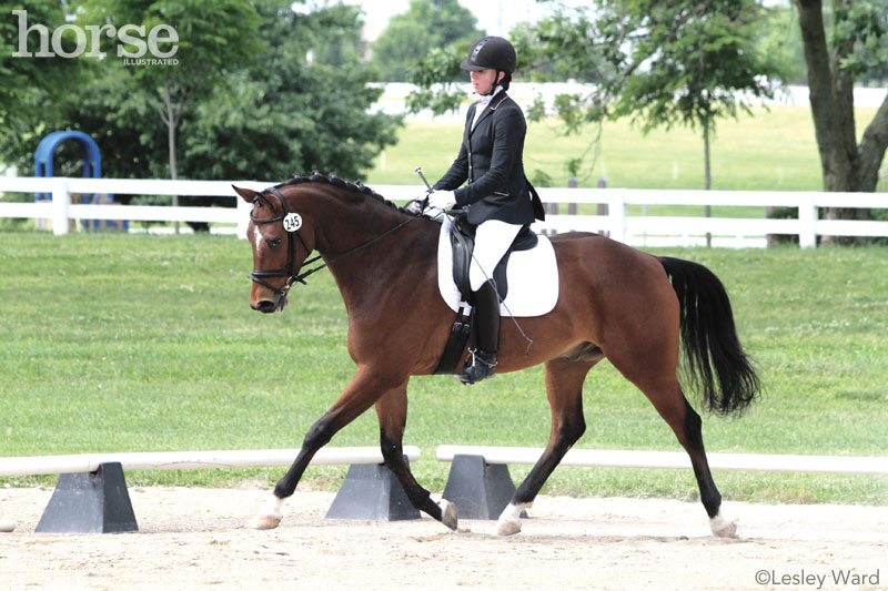 My Horse Rushes Through Dressage Tests