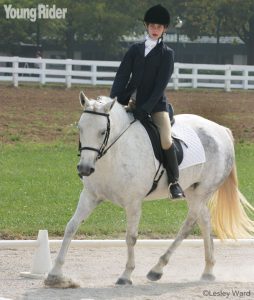 It’s time for your dressage debut!