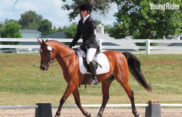 dressage tips