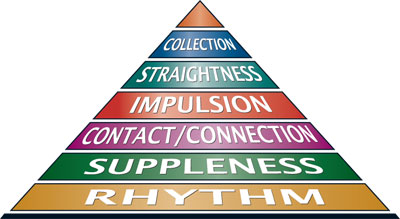 dressage training pyramid