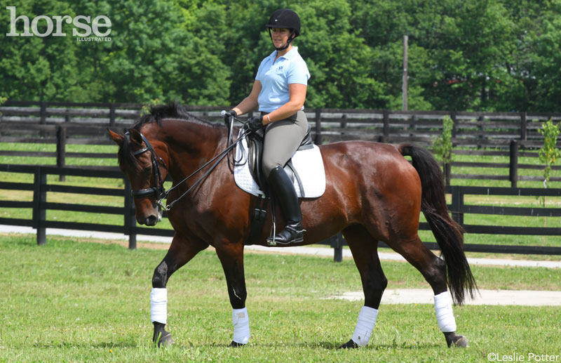 Riding at the walk- horse core muscles 