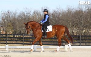 7 Under-Saddle Problems and How to Fix Them