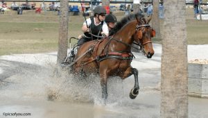 Driven to Succeed: Morgan