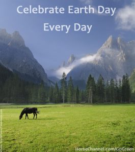 10 Tips for Greener Horsekeeping