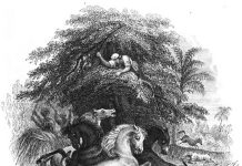 eels attacking horses