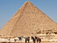 egypt horses