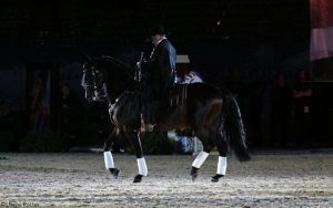 Dressage Goes West
