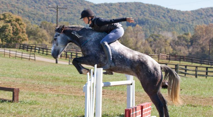 elisa wallace riding her mustang, hwin, over a jump without a bridle