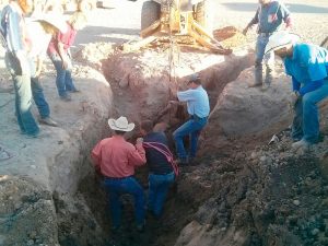 Equine Emergency: Horse in a Hole