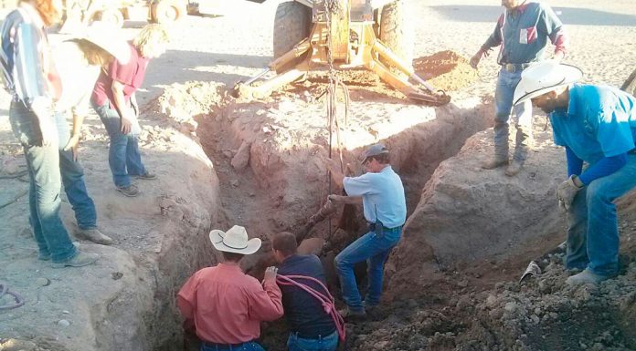 emergency horse hole