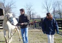 Virginia???s emergency responders get horse training emergency training