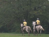 endurance competition