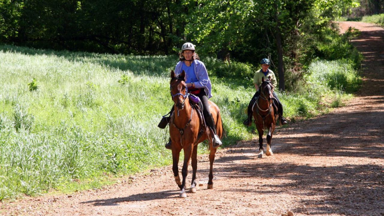 Now's the Time to Get Started in Endurance Riding - Horse Illustrated