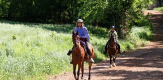 Two horseback riders on the trail in an endurance ride