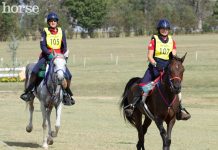 Heart Rate Monitors for Horses endurance riders
