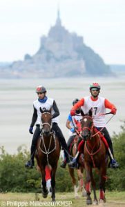 2014 World Equestrian Games test events begin with endurance race