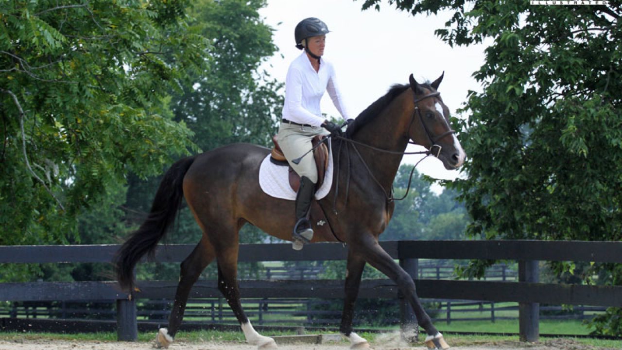 Dressage Horse Cantering
