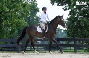 Canter Transition Troubleshooting