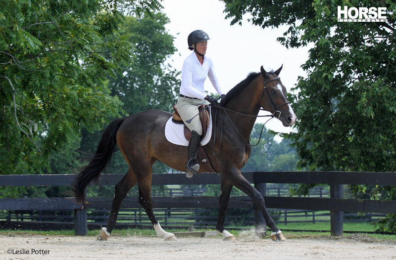 Canter Transition Troubleshooting