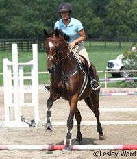 english flatwork