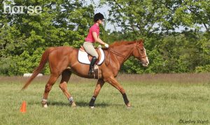 4 Exercises to Rev up the Lazy Horse
